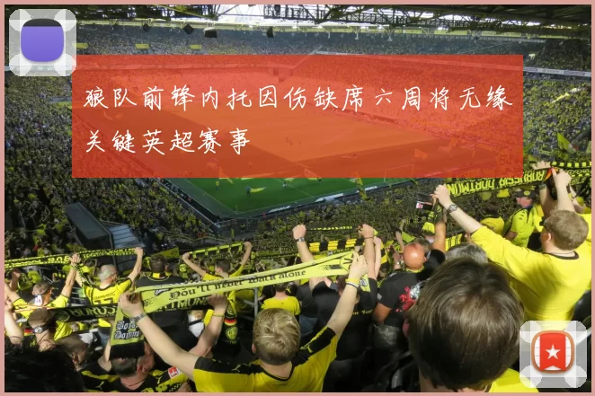 狼队前锋内托因伤缺席六周将无缘关键英超赛事