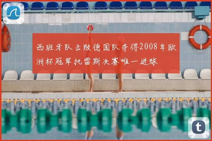 西班牙队击败德国队夺得2008年欧洲杯冠军托雷斯决赛唯一进球