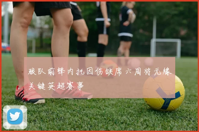 狼队前锋内托因伤缺席六周将无缘关键英超赛事