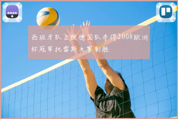 西班牙队击败德国队夺得2008欧洲杯冠军托雷斯决赛制胜